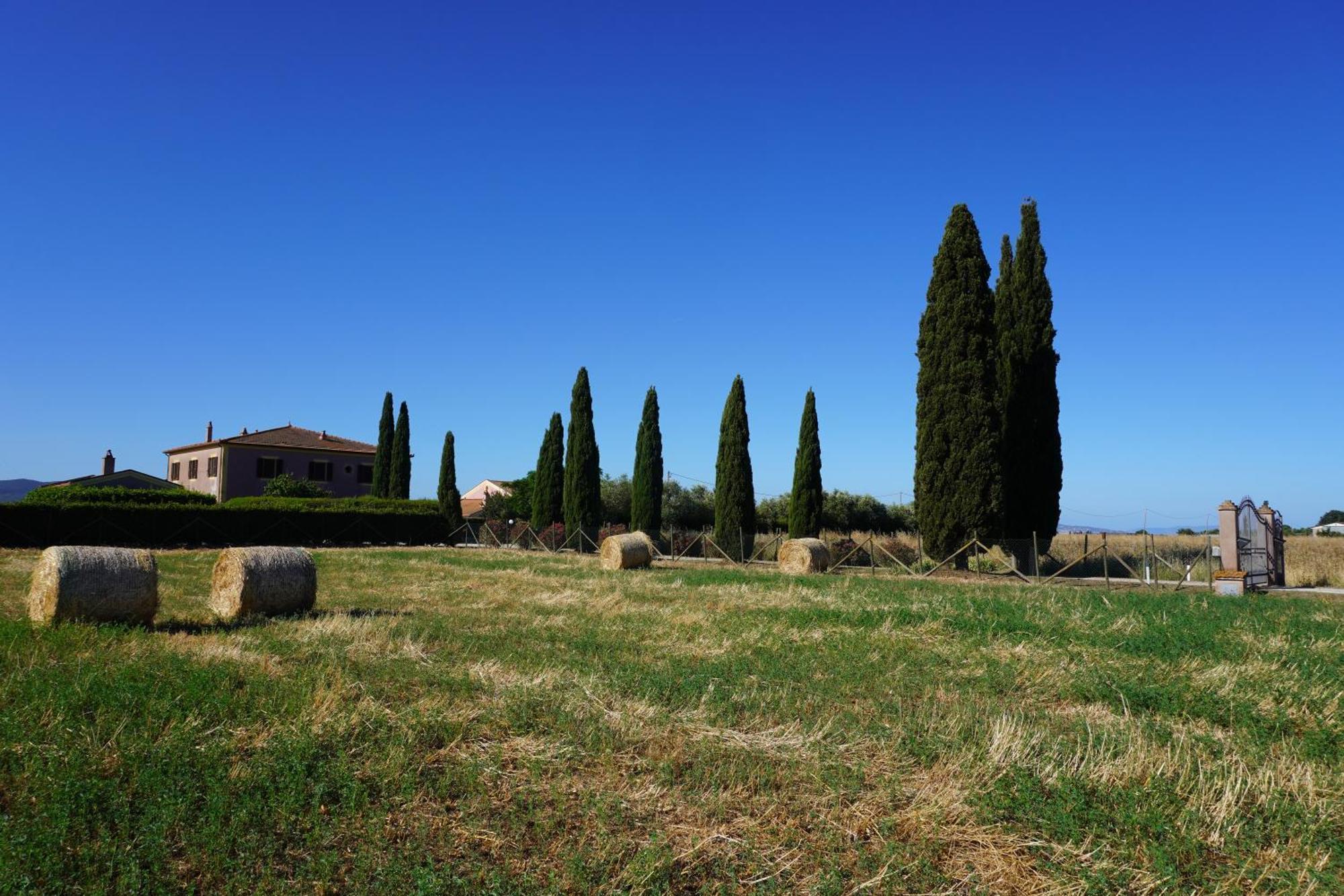Agriturismo Podere Santa Virginia Albinia Zewnętrze zdjęcie