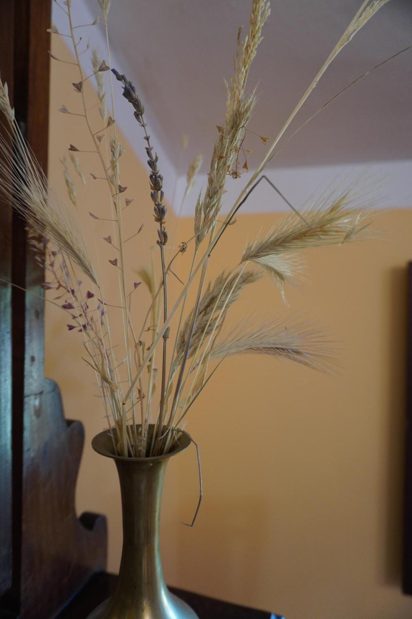 Agriturismo Podere Santa Virginia Albinia Zewnętrze zdjęcie