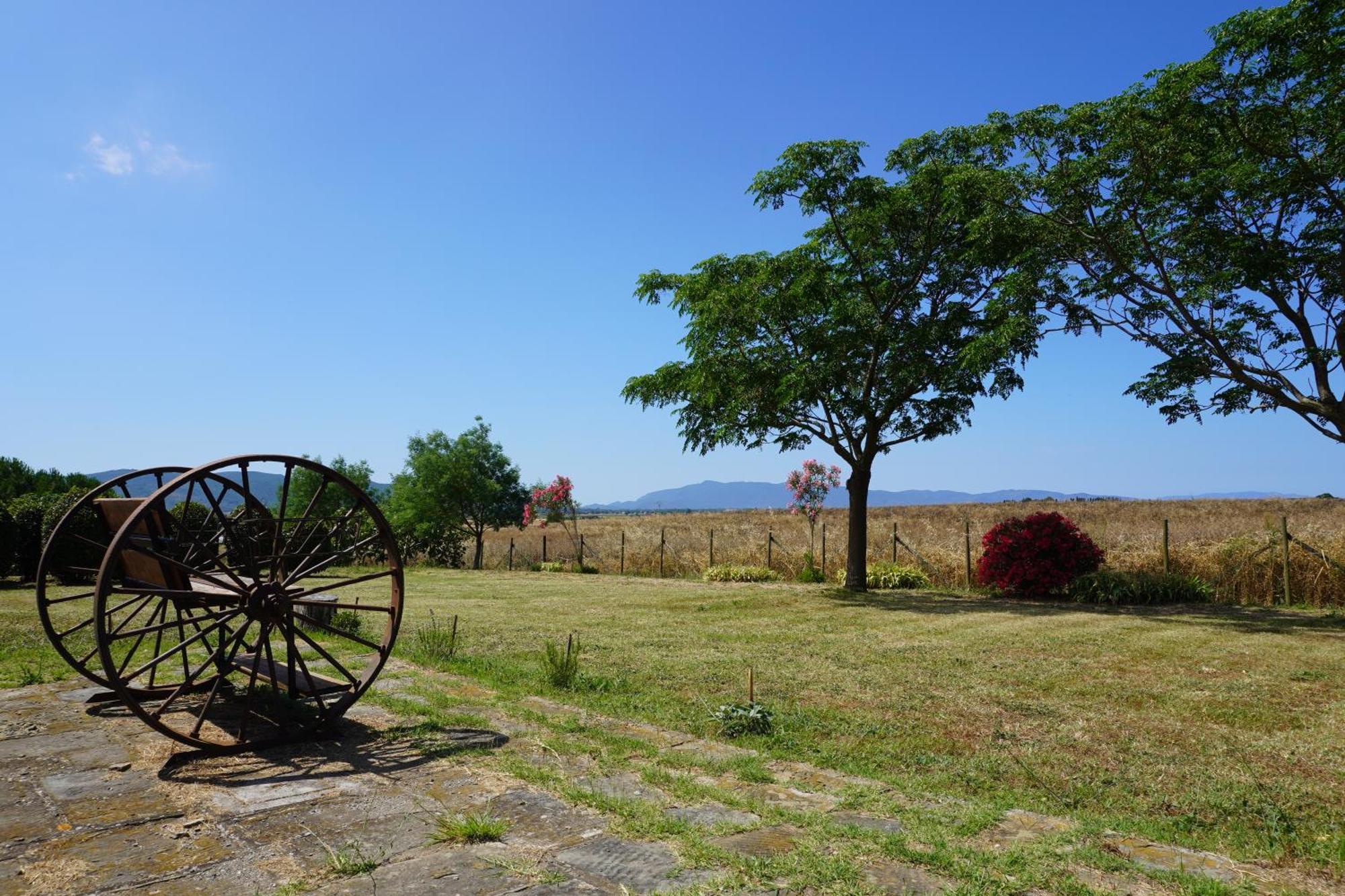 Agriturismo Podere Santa Virginia Albinia Zewnętrze zdjęcie